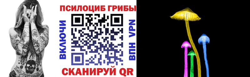 kraken ТОР  Минусинск  Псилоцибиновые грибы ЛСД 